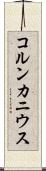 コルンカニウス Scroll