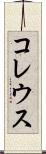 コレウス Scroll