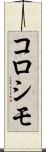 コロシモ Scroll