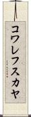 コワレフスカヤ Scroll