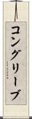 コングリーブ Scroll