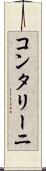 コンタリーニ Scroll