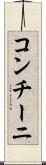 コンチーニ Scroll