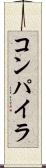 コンパイラ Scroll