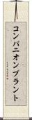 コンパニオンプラント Scroll