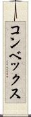 コンベックス Scroll