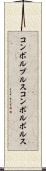 コンボルブルス Scroll