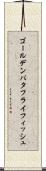 ゴールデンバタフライフィッシュ Scroll