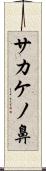 サカケノ鼻 Scroll