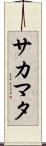 サカマタ Scroll