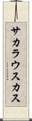 サカラウスカス Scroll