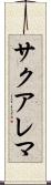 サクアレマ Scroll