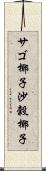 サゴ椰子 Scroll