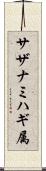 サザナミハギ属 Scroll