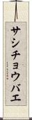 サシチョウバエ Scroll