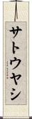サトウヤシ Scroll