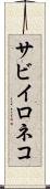 サビイロネコ Scroll