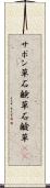 サボン草 Scroll