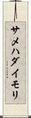 サメハダイモリ Scroll