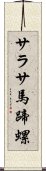サラサ馬蹄螺 Scroll