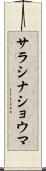 サラシナショウマ Scroll