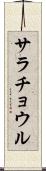 サラチョウル Scroll