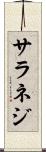 サラネジ Scroll