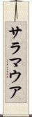 サラマウア Scroll