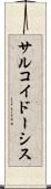 サルコイドーシス Scroll