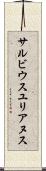 サルビウスユリアヌス Scroll