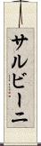 サルビーニ Scroll
