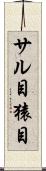 サル目 Scroll