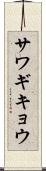 サワギキョウ Scroll