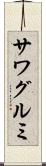 サワグルミ Scroll