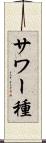 サワー種 Scroll