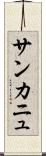 サンカニュ Scroll