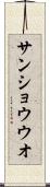 サンショウウオ Scroll