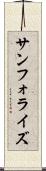 サンフォライズ Scroll