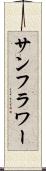サンフラワー Scroll