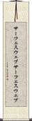 サーフェスウェブ Scroll