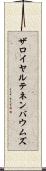 ザロイヤルテネンバウムズ Scroll