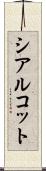 シアルコット Scroll