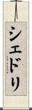 シェドリ Scroll