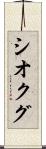 シオクグ Scroll