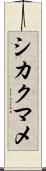 シカクマメ Scroll