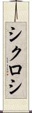 シクロシ Scroll