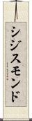 シジスモンド Scroll