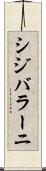 シジバラーニ Scroll
