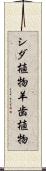 シダ植物 Scroll