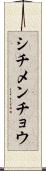 シチメンチョウ Scroll